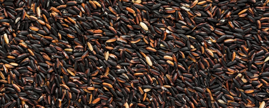 Gạo Lứt 100% Nguyên Chất