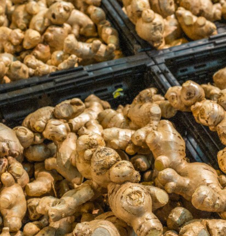 Gừng - vị thuốc phòng và chữa bệnh mùa lạnh