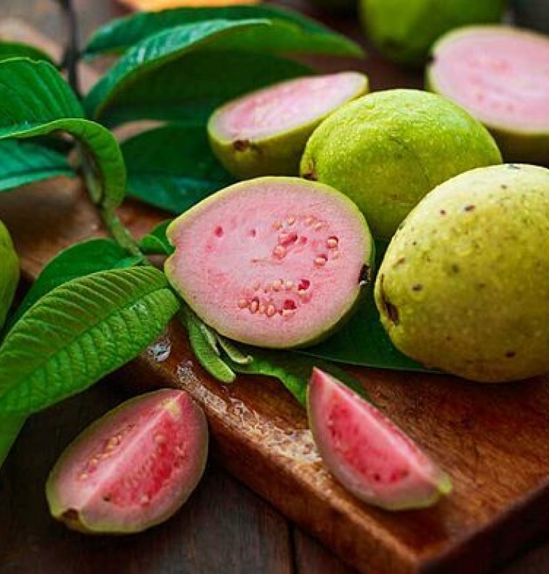 Quả ổi nhiều vitamin C gấp 4 lần quả cam