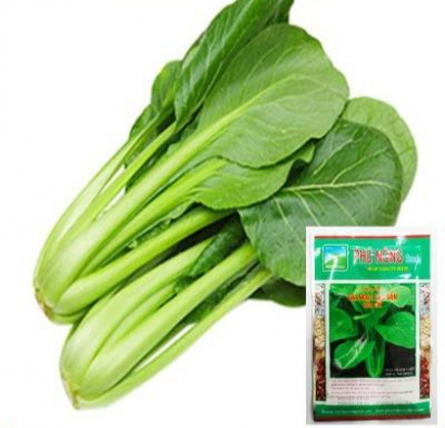 Cải ngọt TSOI SIM