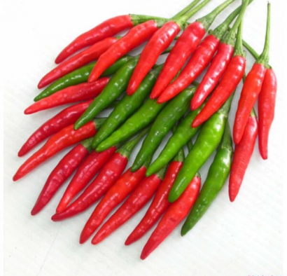Hạt giống ớt chỉ thiên