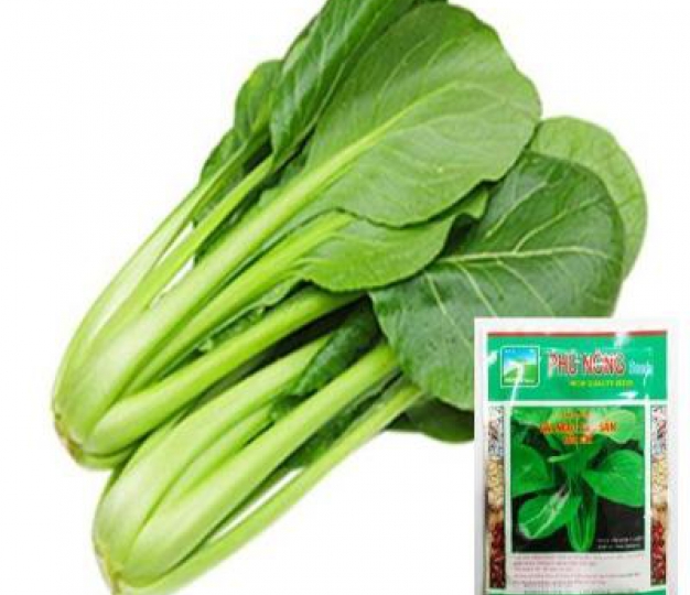 Cải ngọt TSOI SIM