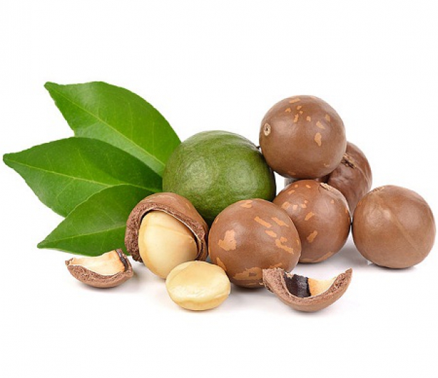Hạt Macadamia