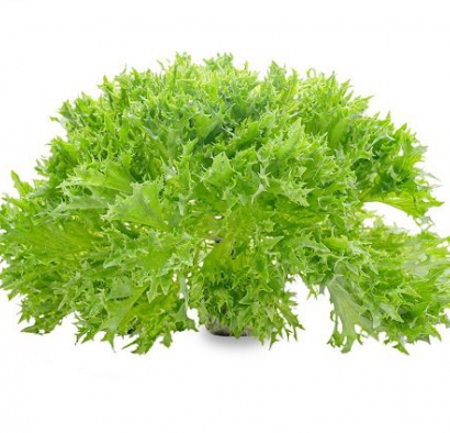 XÀ LÁCH THỦY TINH