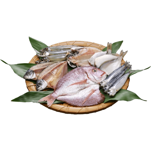 ĐẶC SẢN KHÔ CÁ - TÔM - MỰC